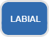 LABIAL